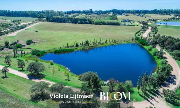 2 terrenos en Laguna Estate